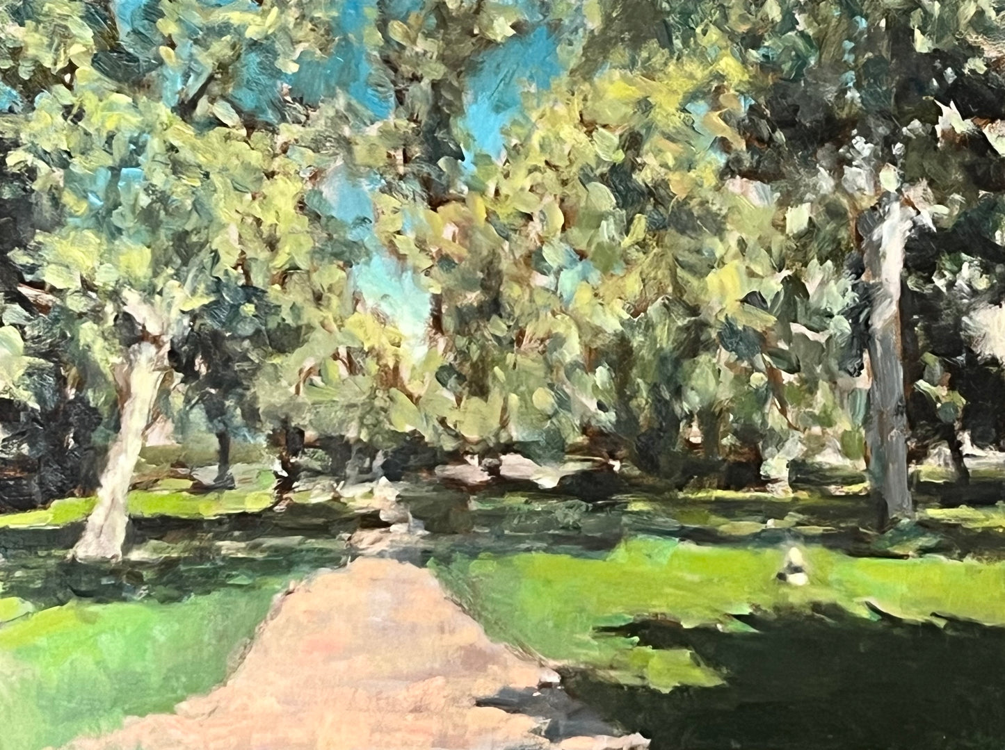 Summer in Green Park, London