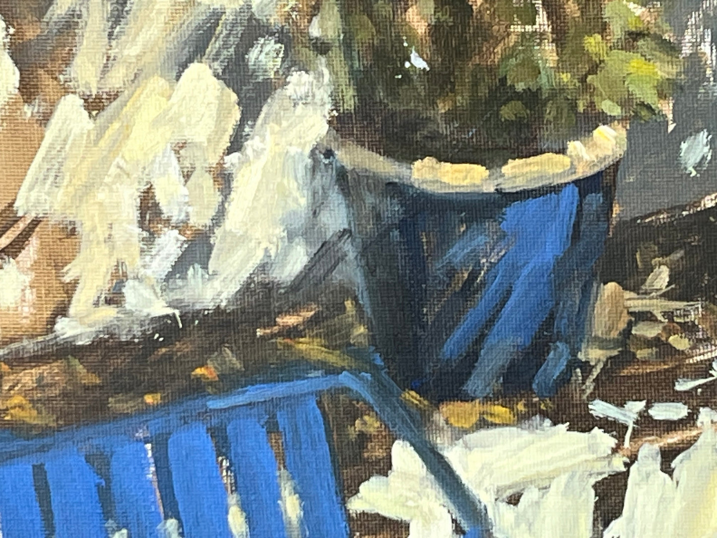 Sunlight on Garden Pot