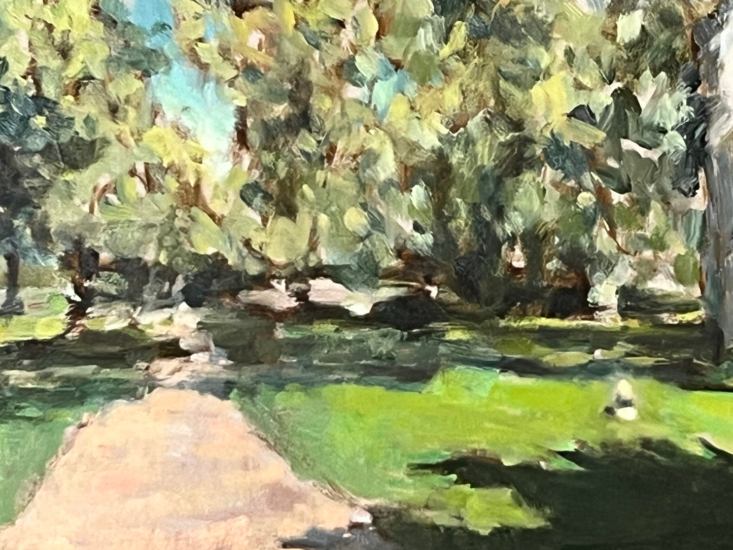 Summer in Green Park, London