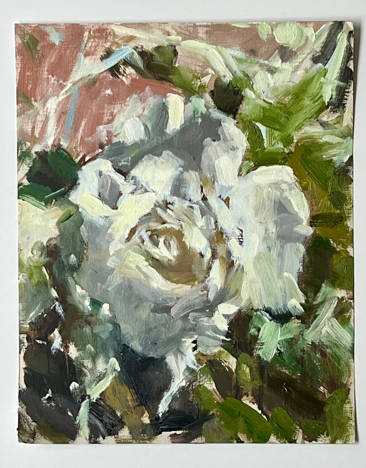 Study of a White Rose