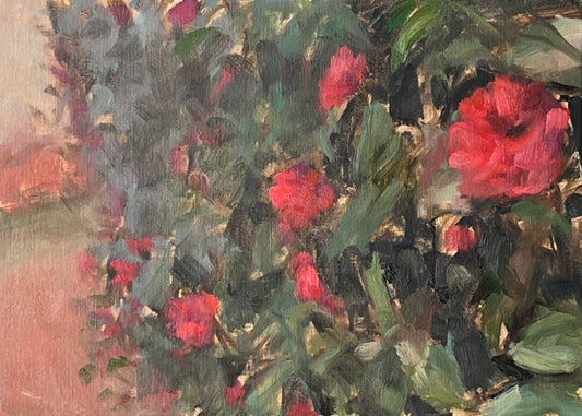 Receding Camellia Bush