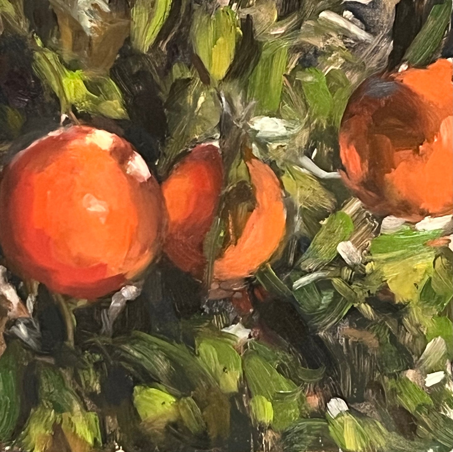 Light at the Orangerie