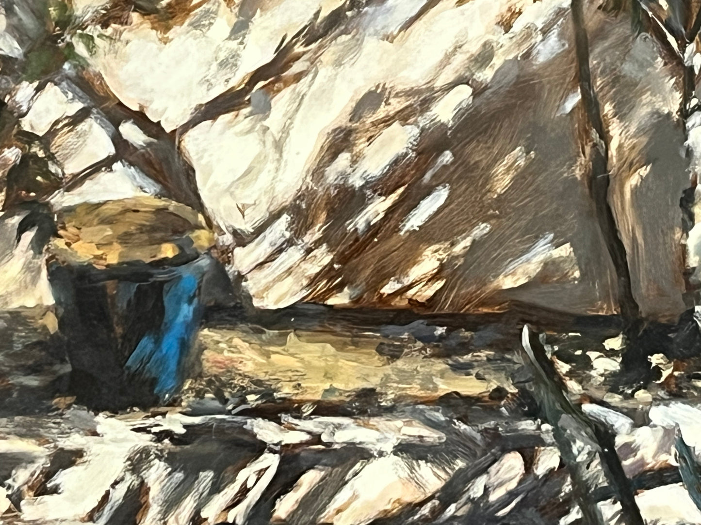 Blue Garden Pot, Strong Sunlight