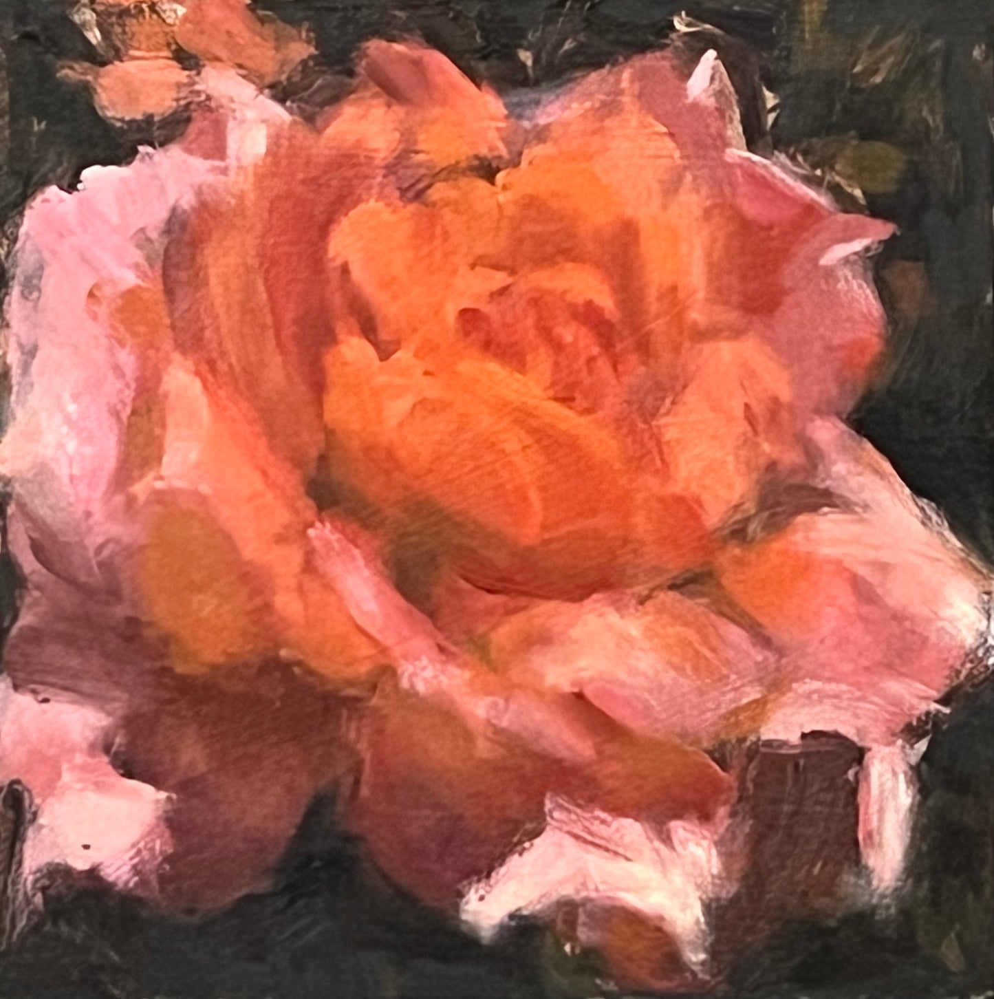 Rose Study