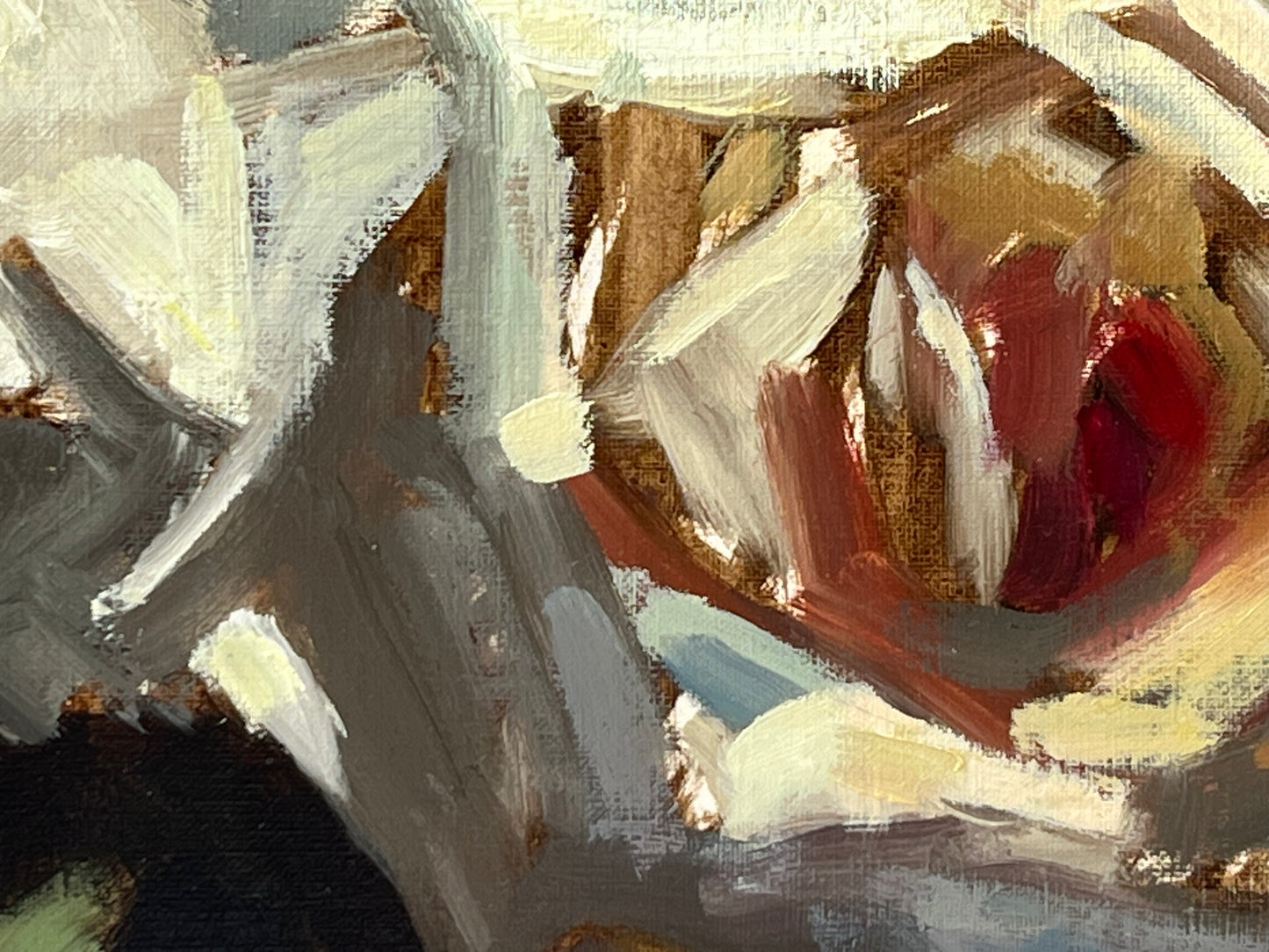 Garden Roses in Sunlight