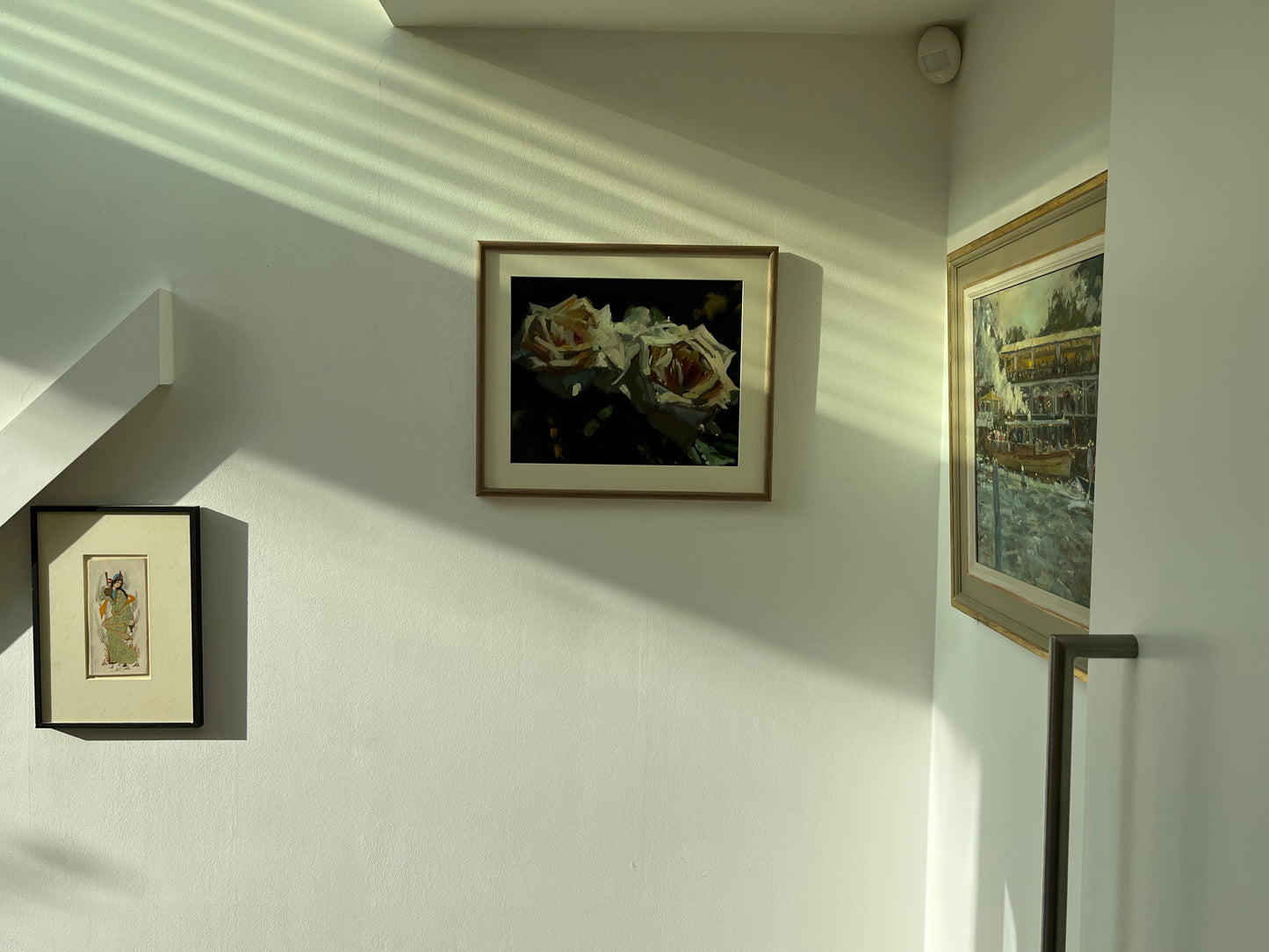 Garden Roses in Sunlight