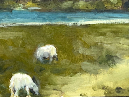 Grazing Sheep, Snowdonia