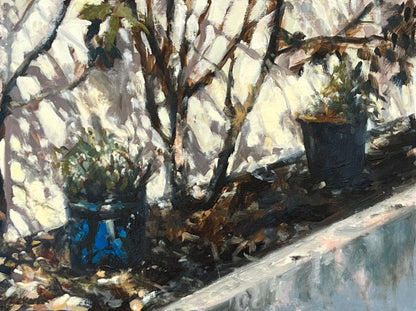 Blue Garden Pot, Strong Sunlight