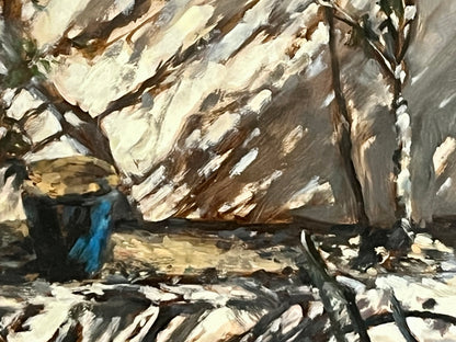 Fragments of Afternoon Light on the Patio