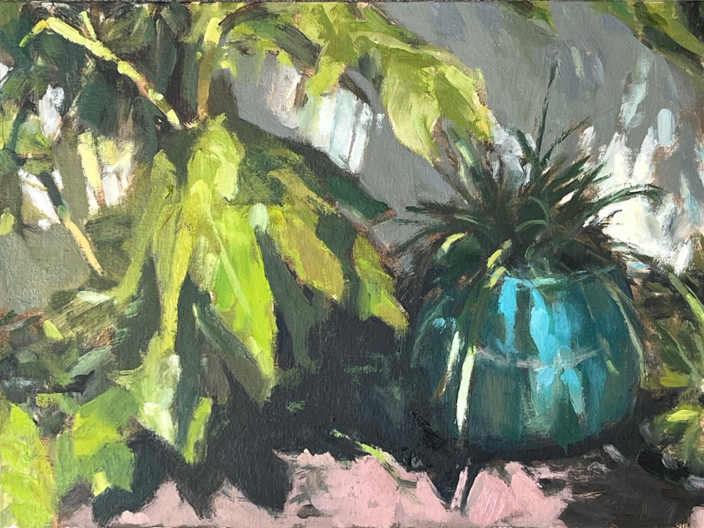 Green Garden Pot, Strong Sunlight