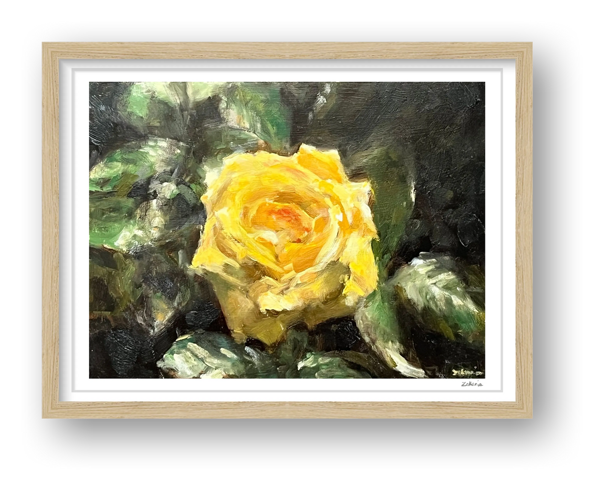 Splendour of the Rose — framed