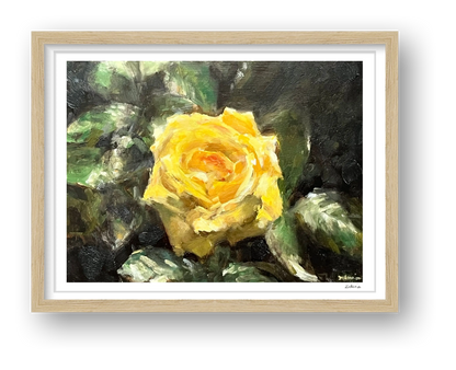Splendour of the Rose — framed