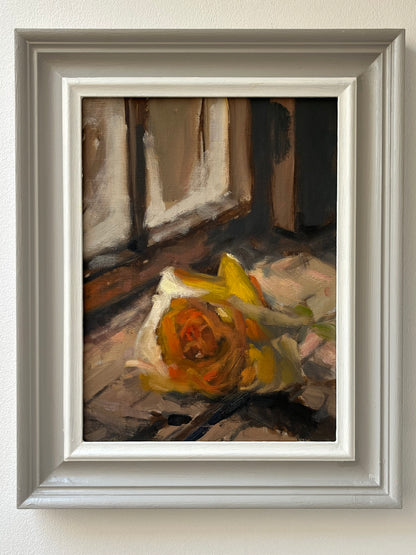 Yellow Rose, Window Light