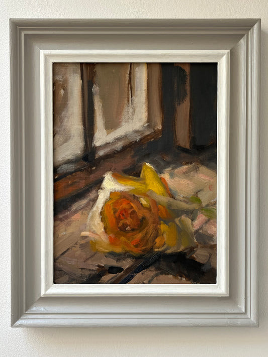 Yellow Rose, Window Light