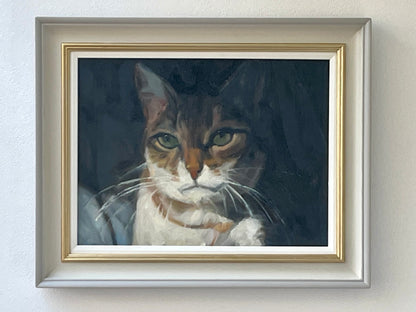 Cat Portrait