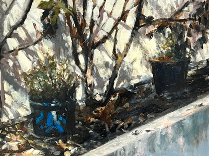 Blue Pots, Moving Light