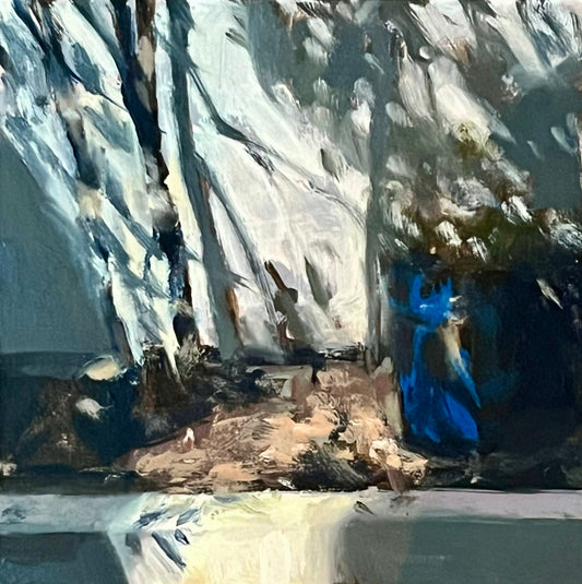 Garden Pot in Sunlight