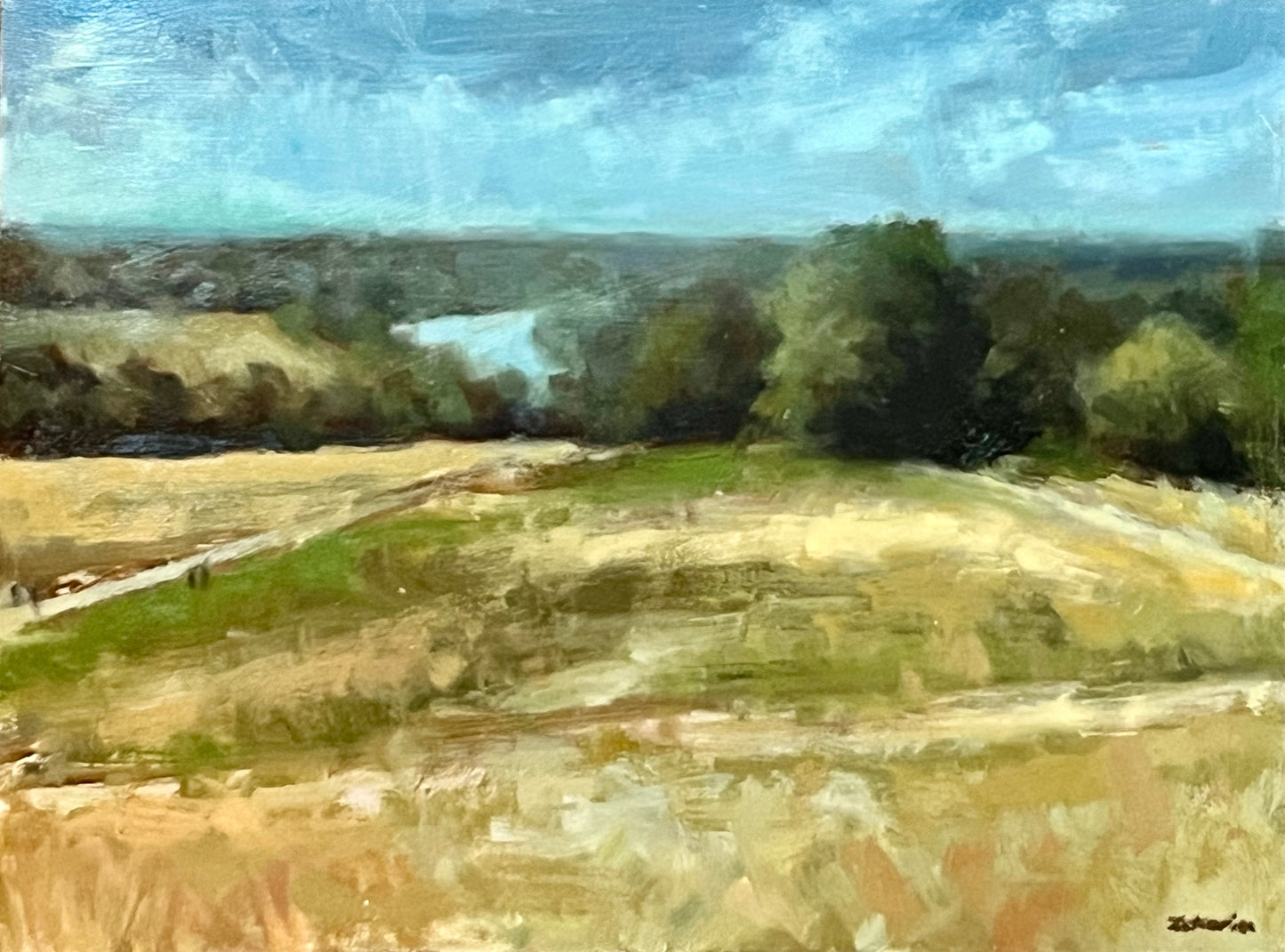 Towards Petersham from Richmond, Summer