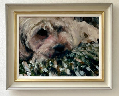 Dog Portrait