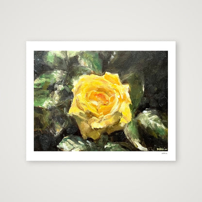 Splendour of the Rose — 50×40cm, 20×16" Print only