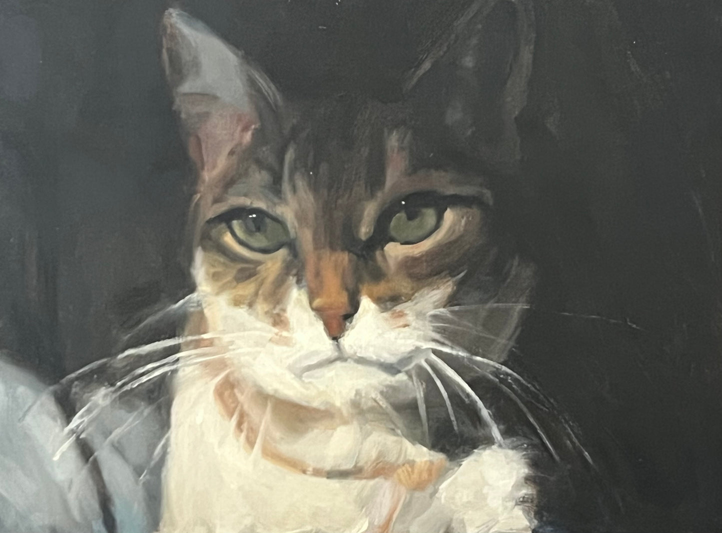 Cat Portrait