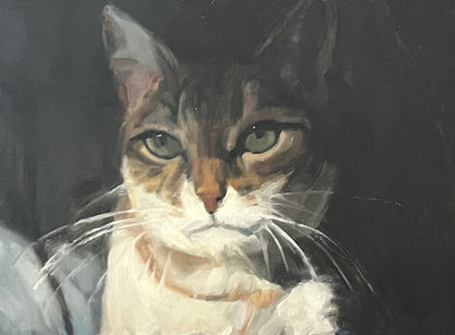Cat Portrait