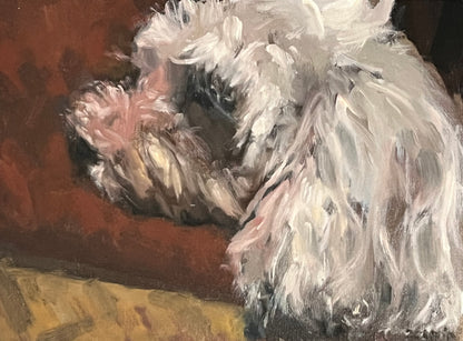 Dog Portrait