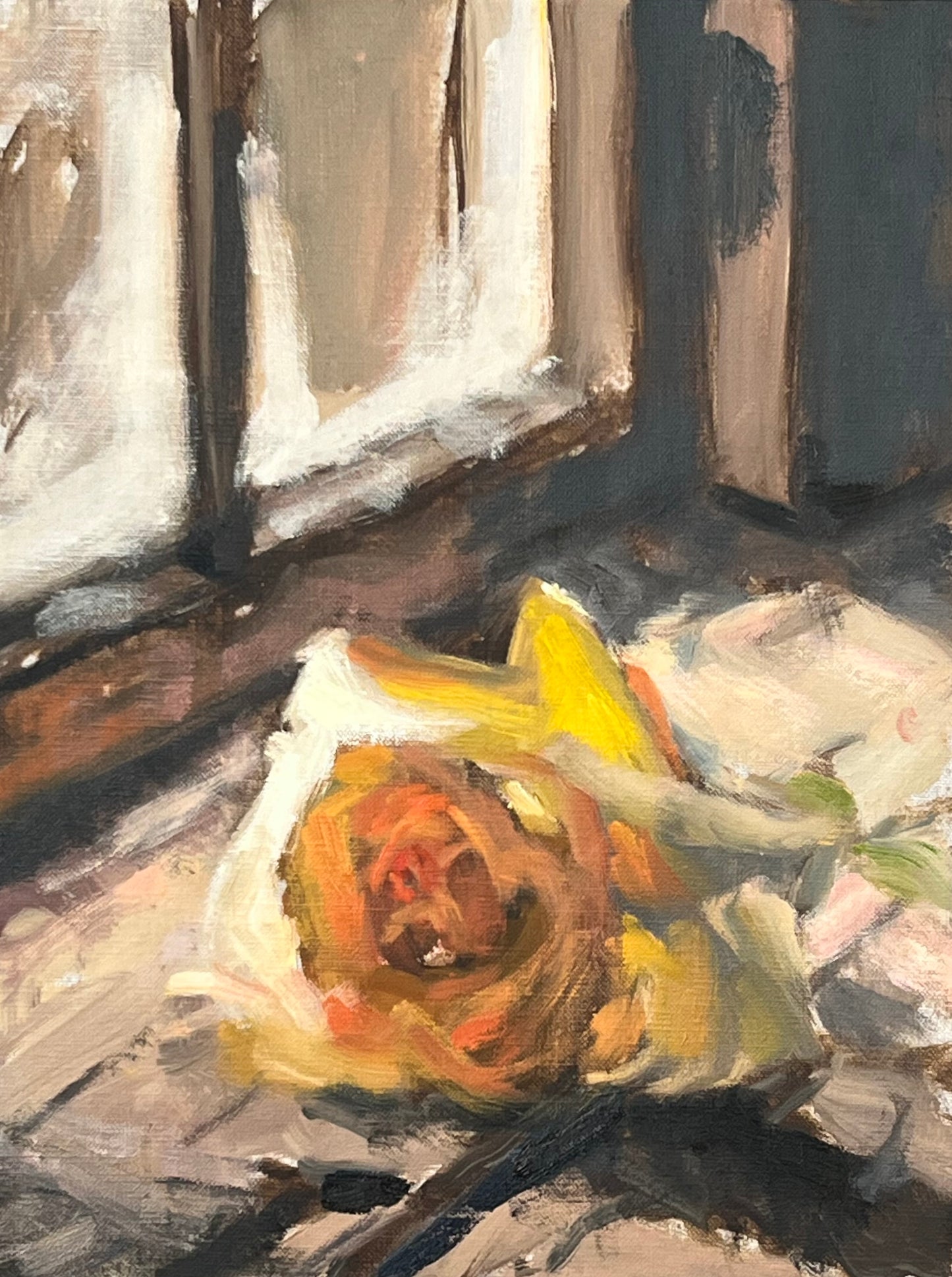 Yellow Rose, Window Light