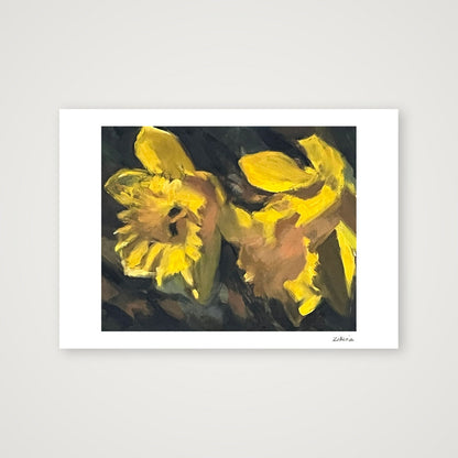 Daffodils in Sunlight — A4 (30×21cm, 12×8") Print only