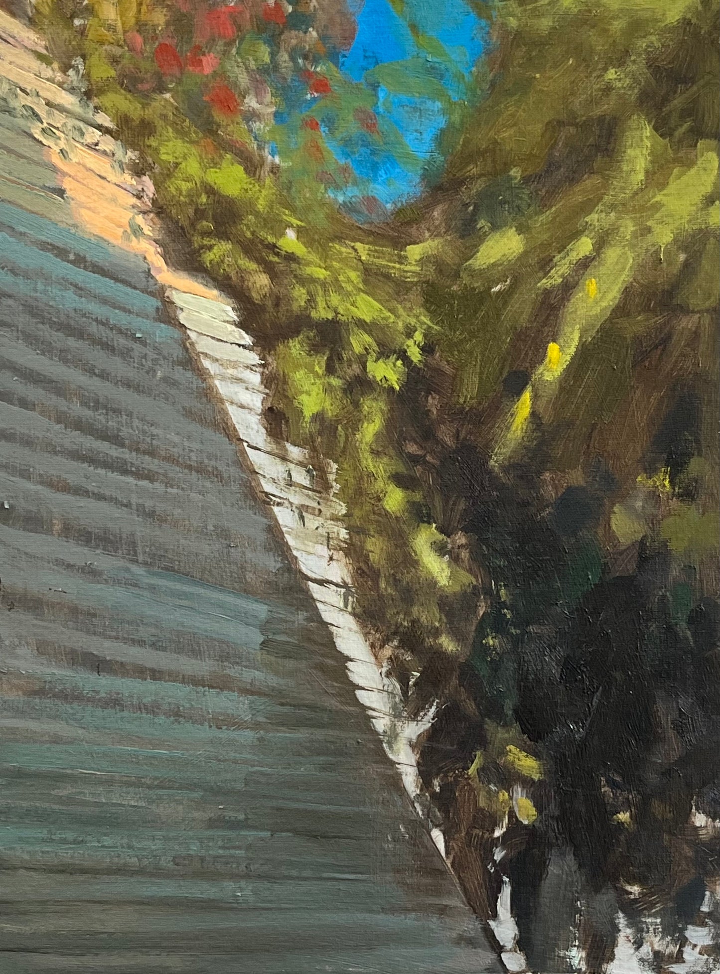Midday Light, Patio Fence