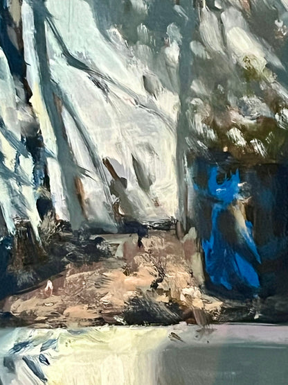 Garden Pot in Sunlight