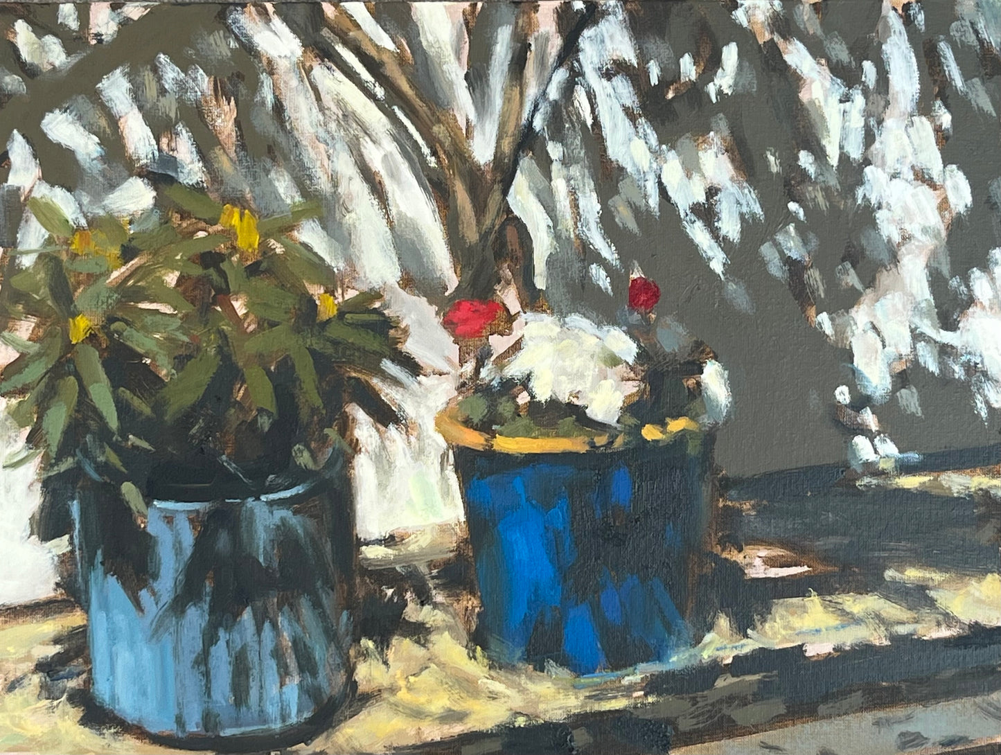 Garden Pots in a Heatwave