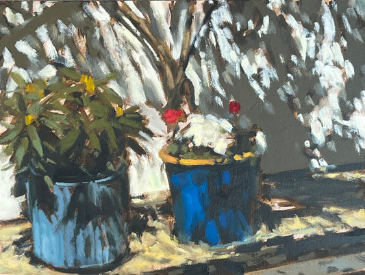 Garden Pots in a Heatwave