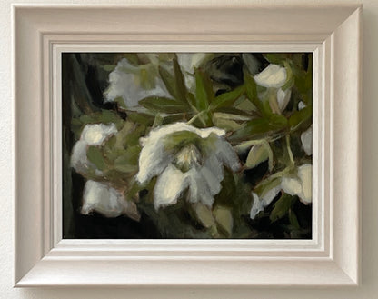 Dance of Hellebores