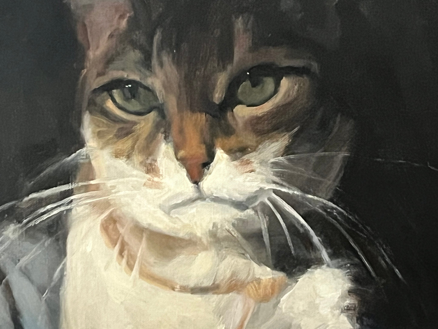 Cat Portrait