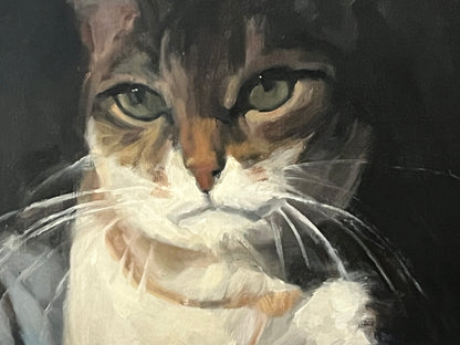 Cat Portrait
