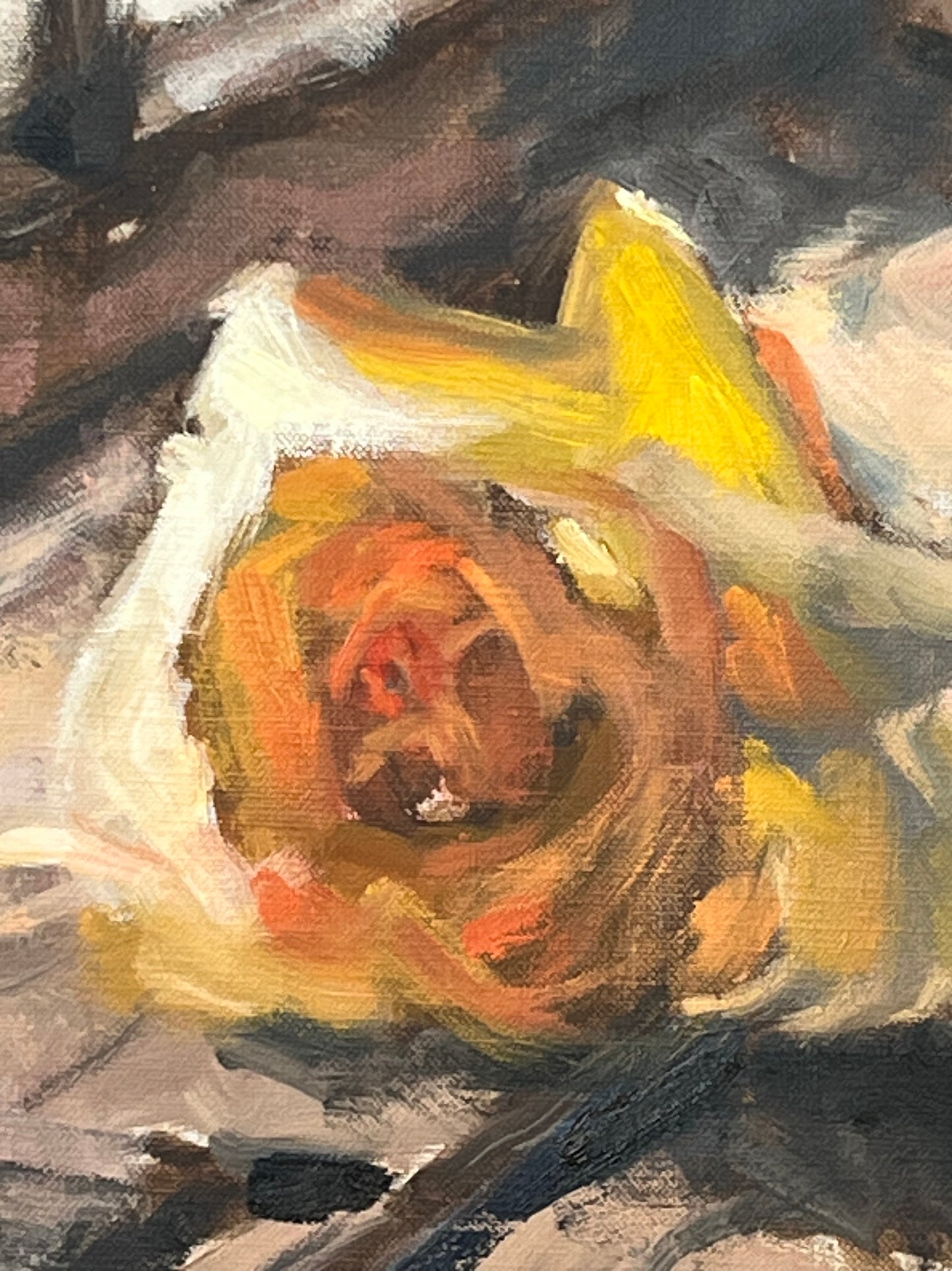 Yellow Rose, Window Light