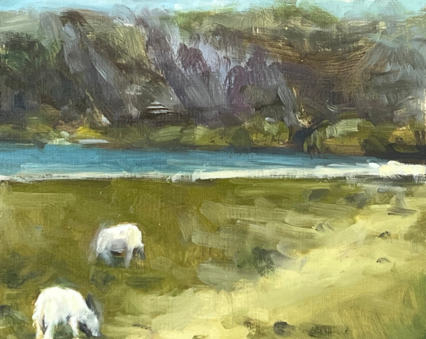 Grazing Sheep, Snowdonia