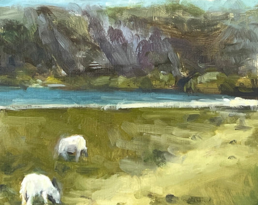 Grazing Sheep, Snowdonia