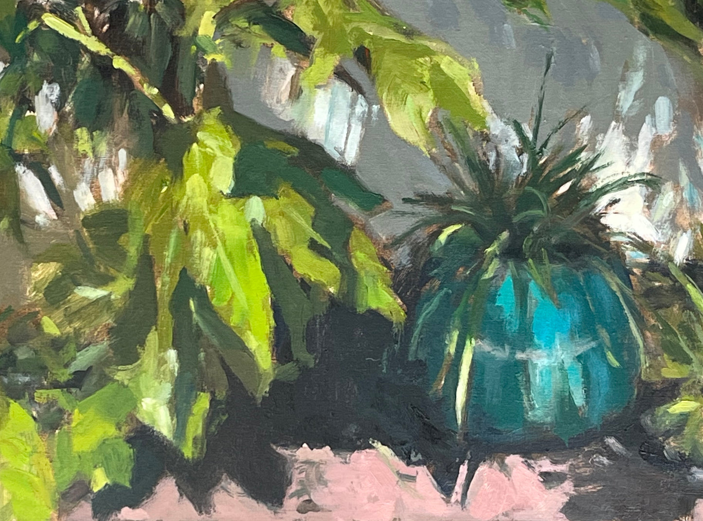 Green Garden Pot, Strong Sunlight