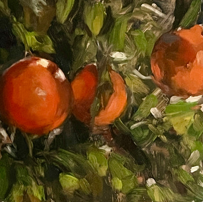 Light at the Orangerie