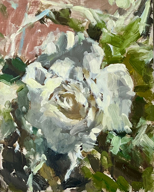 Study of a White Rose