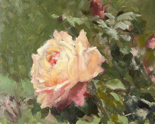 Study of a Peach Rose