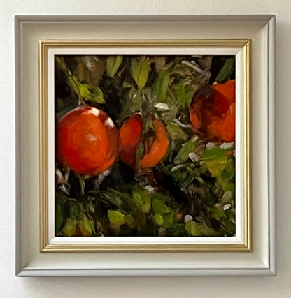 Light at the Orangerie