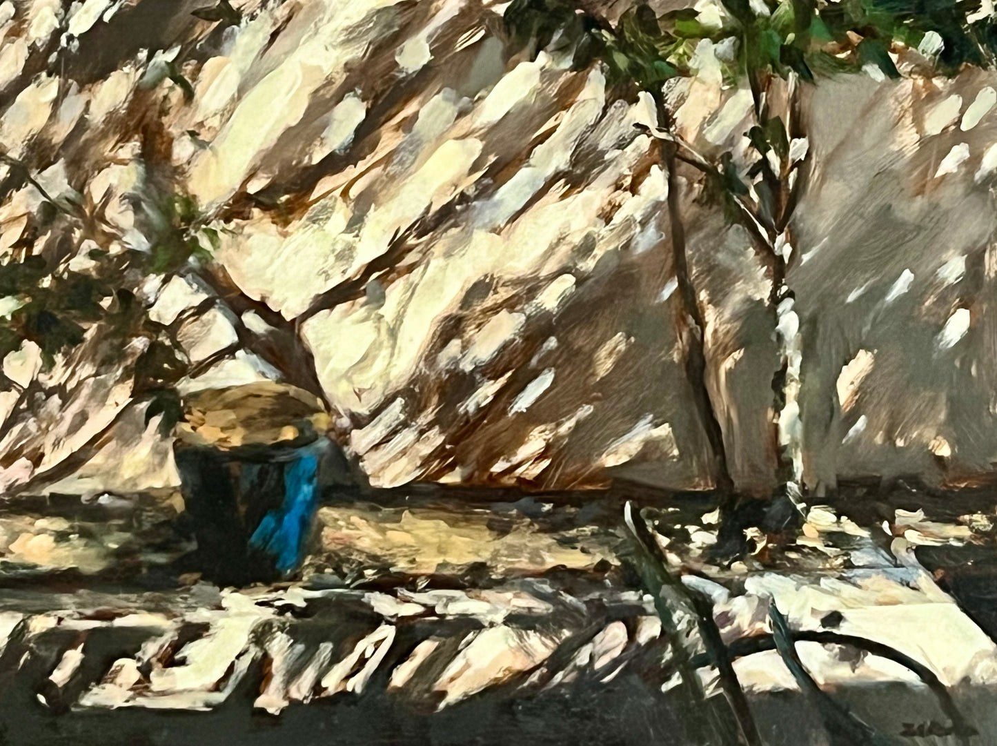 Fragments of Afternoon Light on the Patio