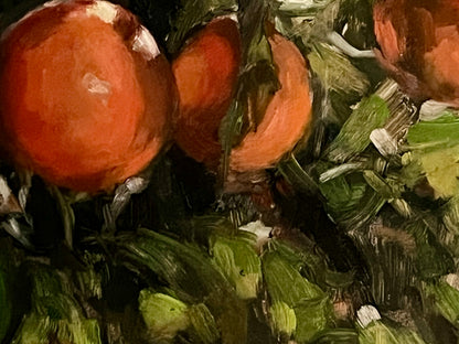 Light at the Orangerie