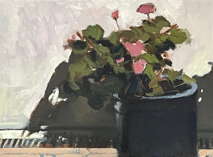 Blue Garden Pot, Strong Sunlight