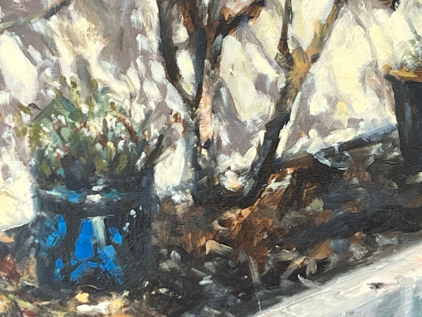 Blue Garden Pot, Strong Sunlight