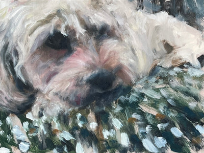 Dog Portrait