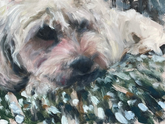 Dog Portrait